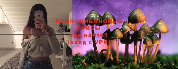 кристаллы Бородино